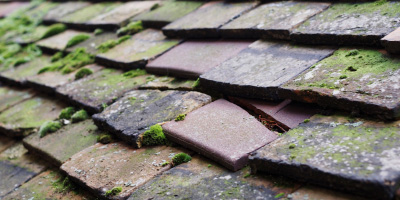 Beaconsfield roof repair costs